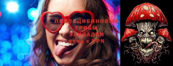 хмурый Алексеевка